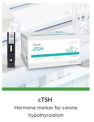 Rapid Test By Bionote