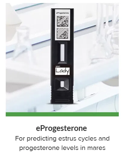 Rapid Test By Bionote