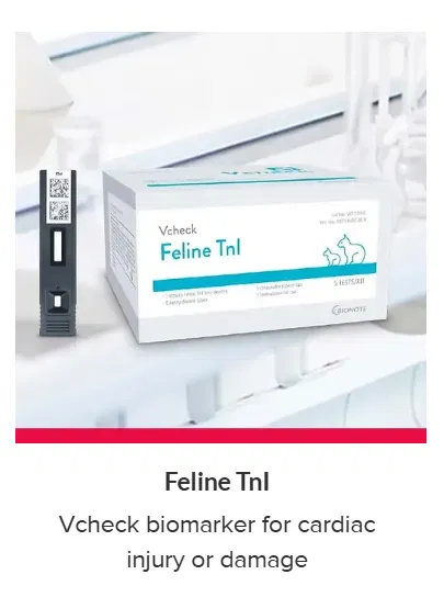 Rapid Test By Bionote