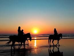 Actividades cercanas