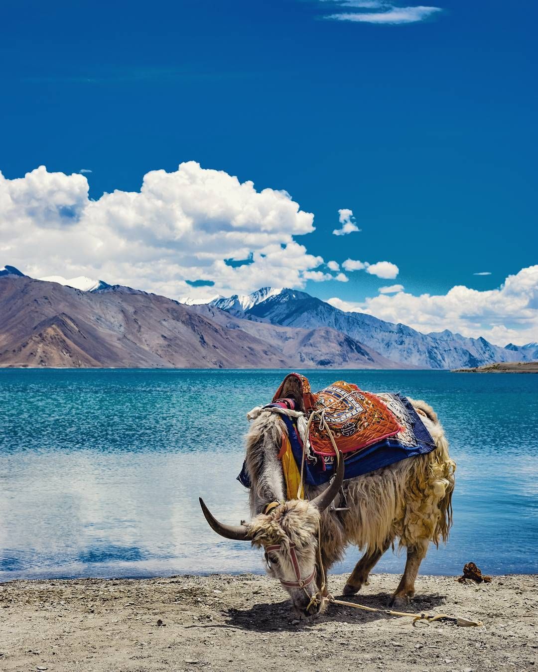 Pangong Lake