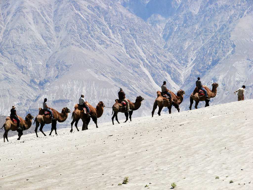 Nubra Valley