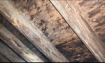How Rising Humidity—Even Without Rain—Impacts Your Crawl Space in Western North Carolina