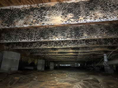 How Rising Humidity—Even Without Rain—Impacts Your Crawl Space in Western North Carolina