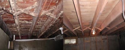 Soda Blasting- From Contaminated to Restored. The Gold Standard of Mold Remediation in Western North Carolina