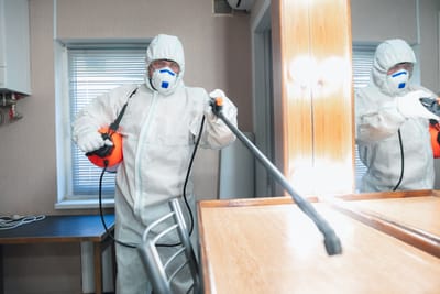 Why Antimicrobial Fogging Isn’t Enough to Properly Treat Mold