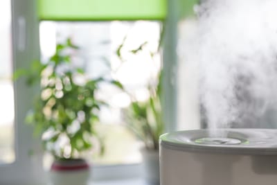 The Air You Breathe Upstairs Starts in Your Crawl Space
