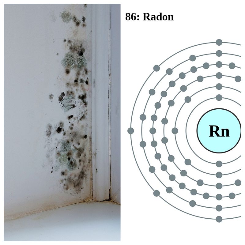 MOLD &amp; RADON TESTING
