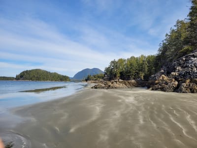 10 Facts About the Unique Wildlife on Raccoon Island