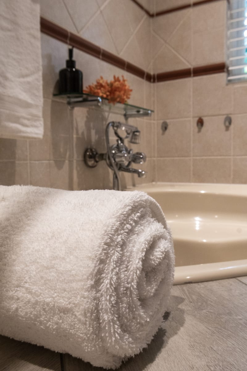 Master Bedroom with en-suite bathroom and walk-in cupboard