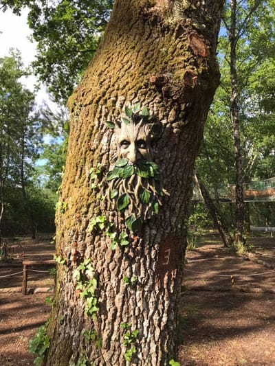 Activités pour Toute la Famille dans un Parc de Loisirs