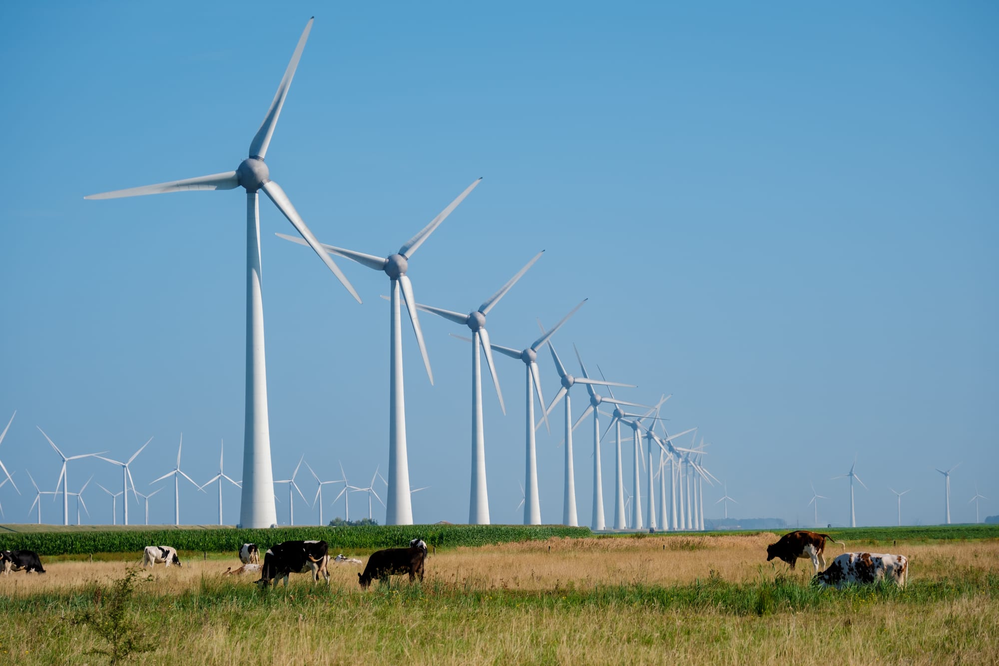 Qitai Wind Farm Strengthens Clean Energy Capacity in Northwestern China