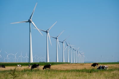 Qitai Wind Farm Strengthens Clean Energy Capacity in Northwestern China