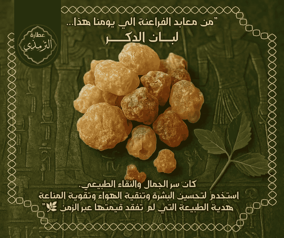 لبان الذكر من عطارة الترمذي