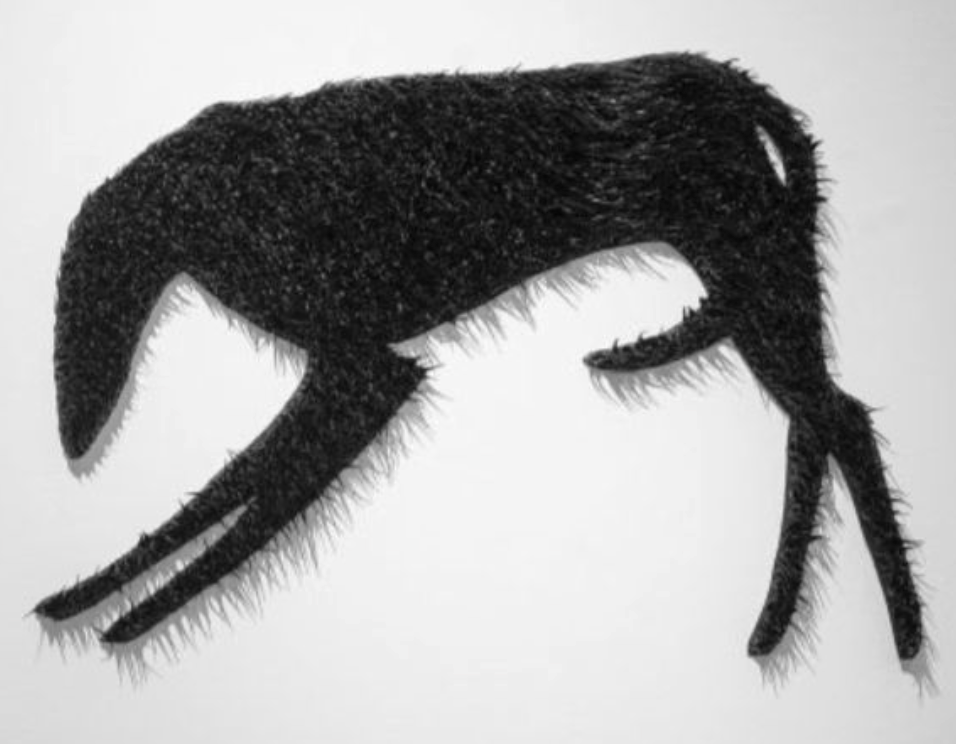 Wolf - Dafna Kaffeman