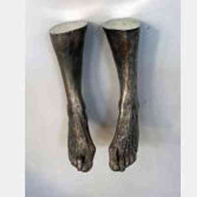 Hanging Feet - Ann Wolff