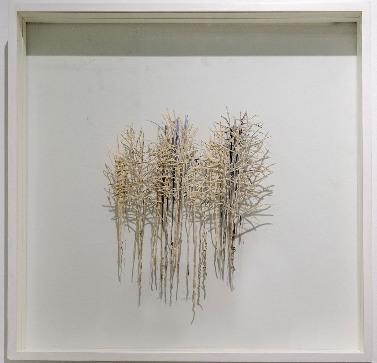 Electrical Wiring - Shoshanah Ciechanowski