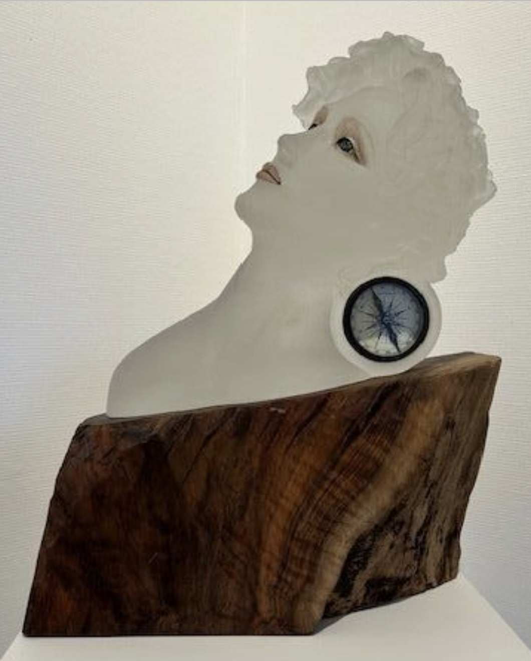 True North - Leah Wingfield