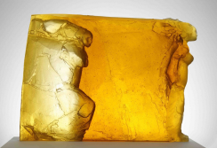 Ann Wolff Merit Scholarship