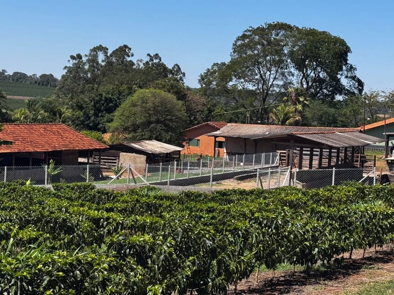 Alambrado Postes Retos