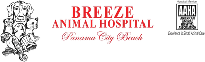 breezevetspcb.com