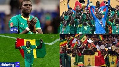 Soccer World Cup Tickets: Diouf, I'm just looking forward to the World Cup and excited to play