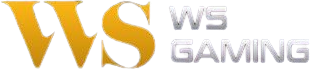 WSGaming