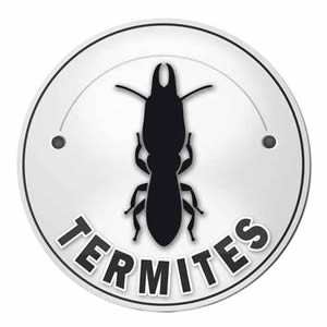 TERMITES