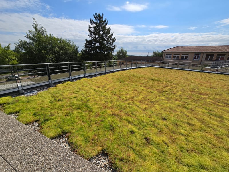 Charpente et murs à ossature bois - Couverture et bardage en zinc à joint debout - Etanchéité sur toiture terrasse avec protection par gravillons et végétalisation - Bardage en bois teinte sombre - Bardage en bois en sous-face - Bardage en Trespa®