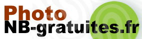Photo-NB-gratuites