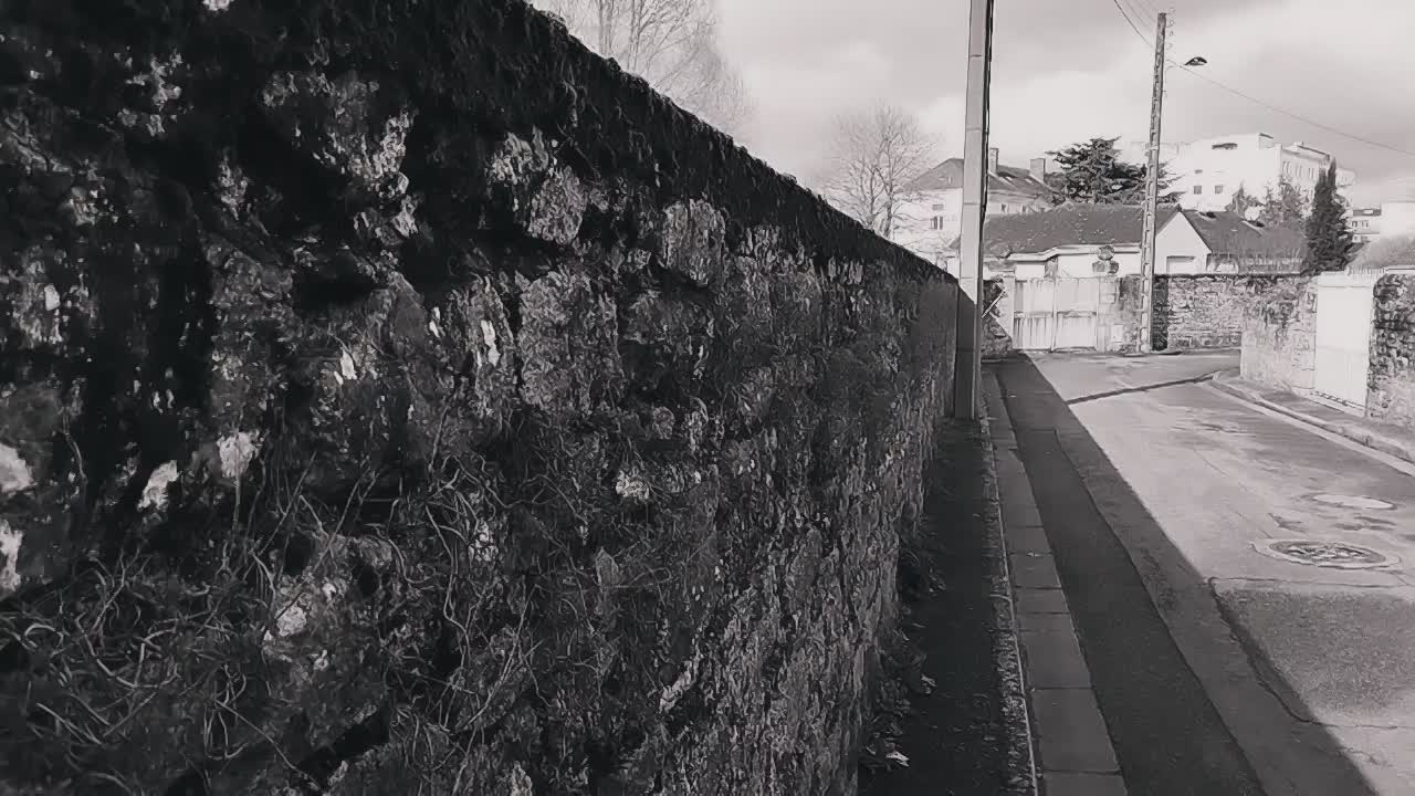 Vidéo du Mois thumbnail