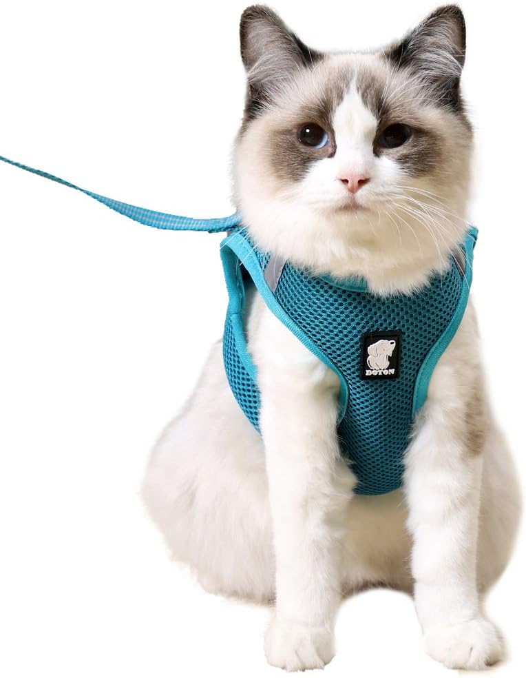Qimei Escape-Proof Cat Harness & Leash