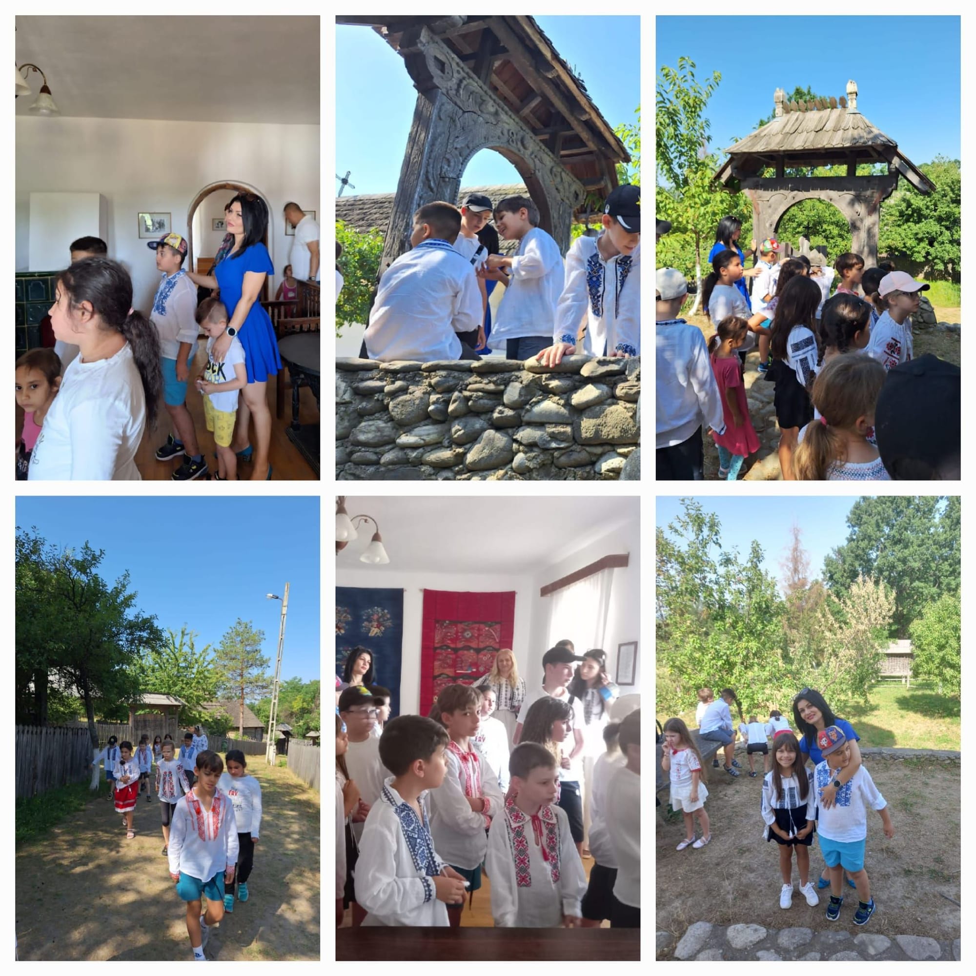 În cadrul unui proiect organizat în colaborare cu Asociația Smart Wings, Primăria Drăguțești, Colegiul Național “Spiru Haret” și alți colaboratori,