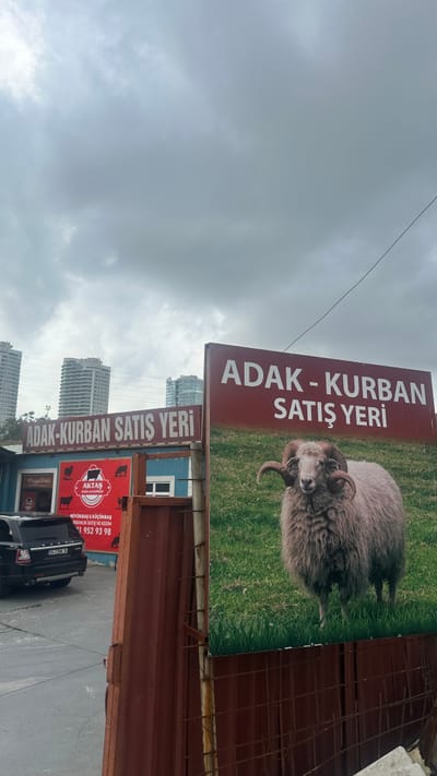 BAŞAKŞEHİR-İSTOÇ ADAK KURBAN SATIŞ VE KESİM MERKEZİ