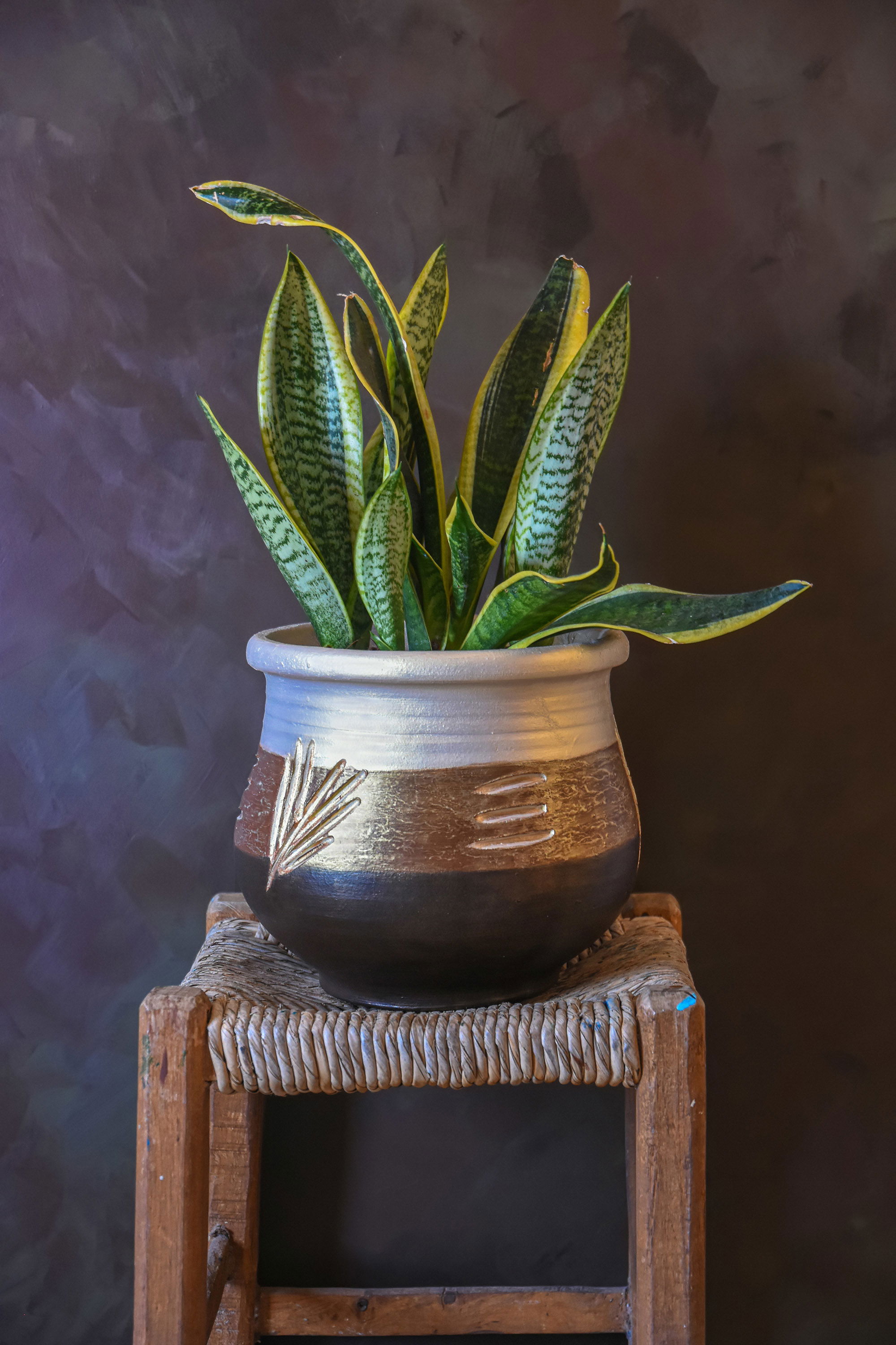 כד מחימר חברוני.