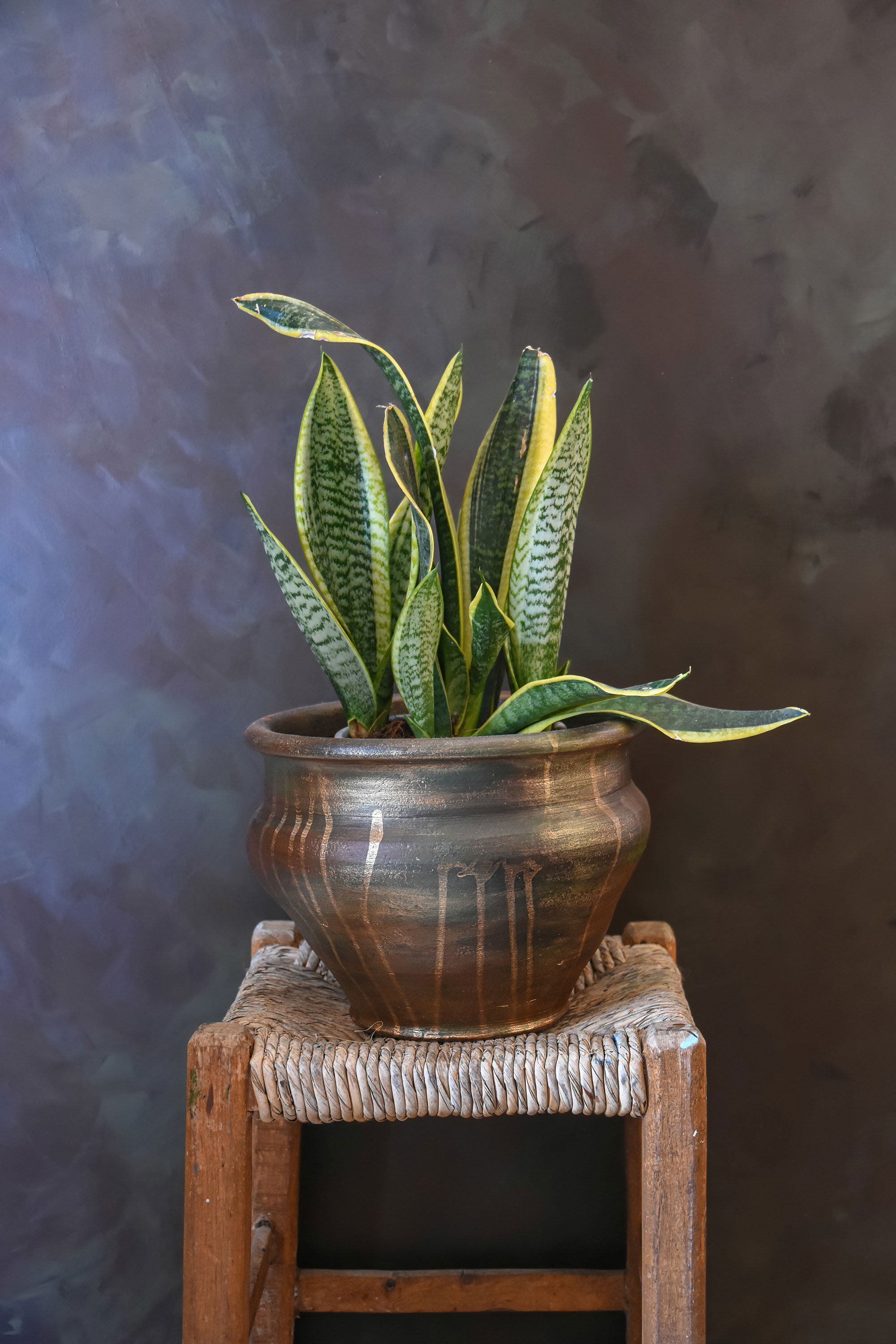 כד מחימר חברוני.