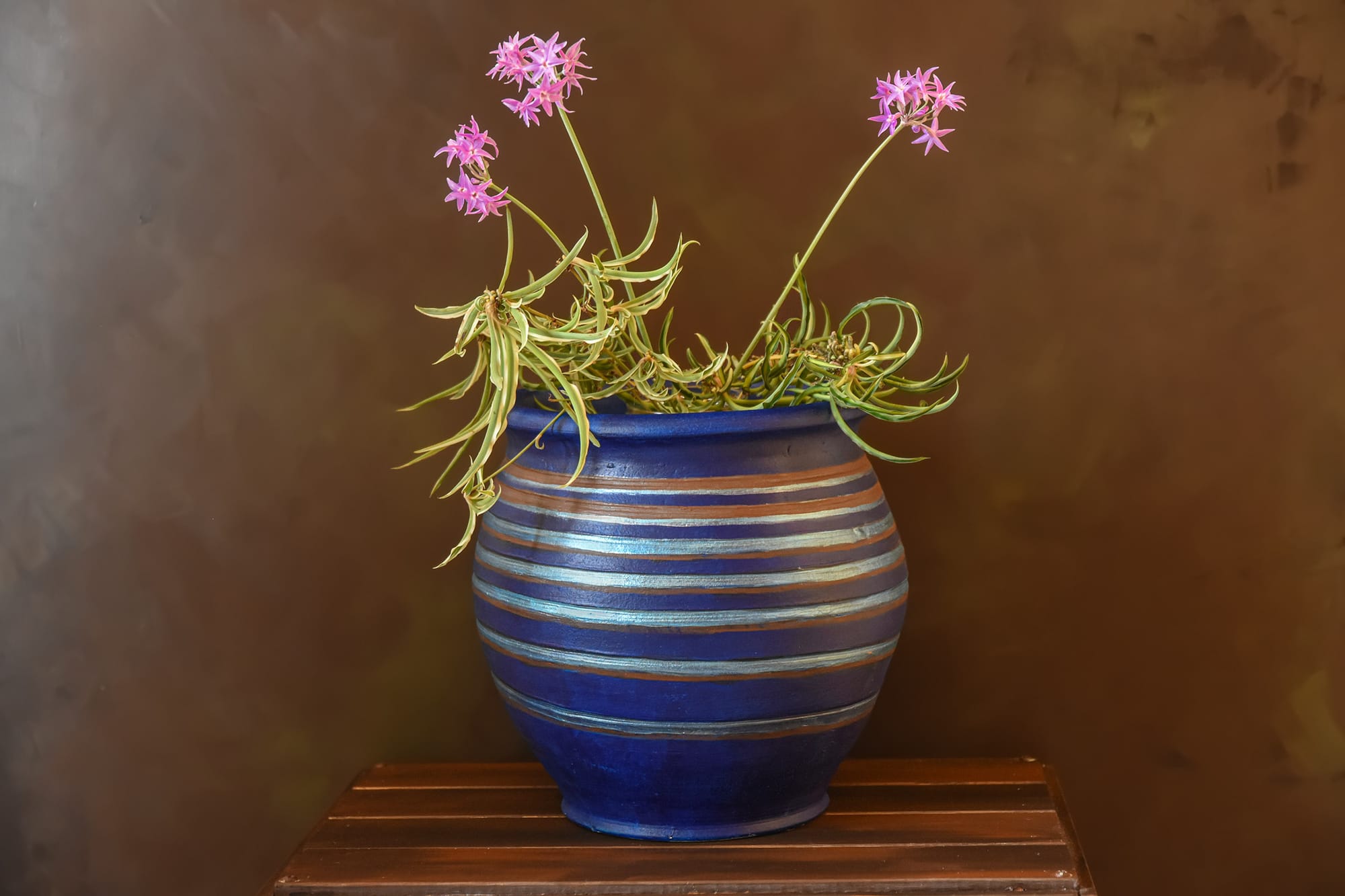 כד מחימר חברוני.