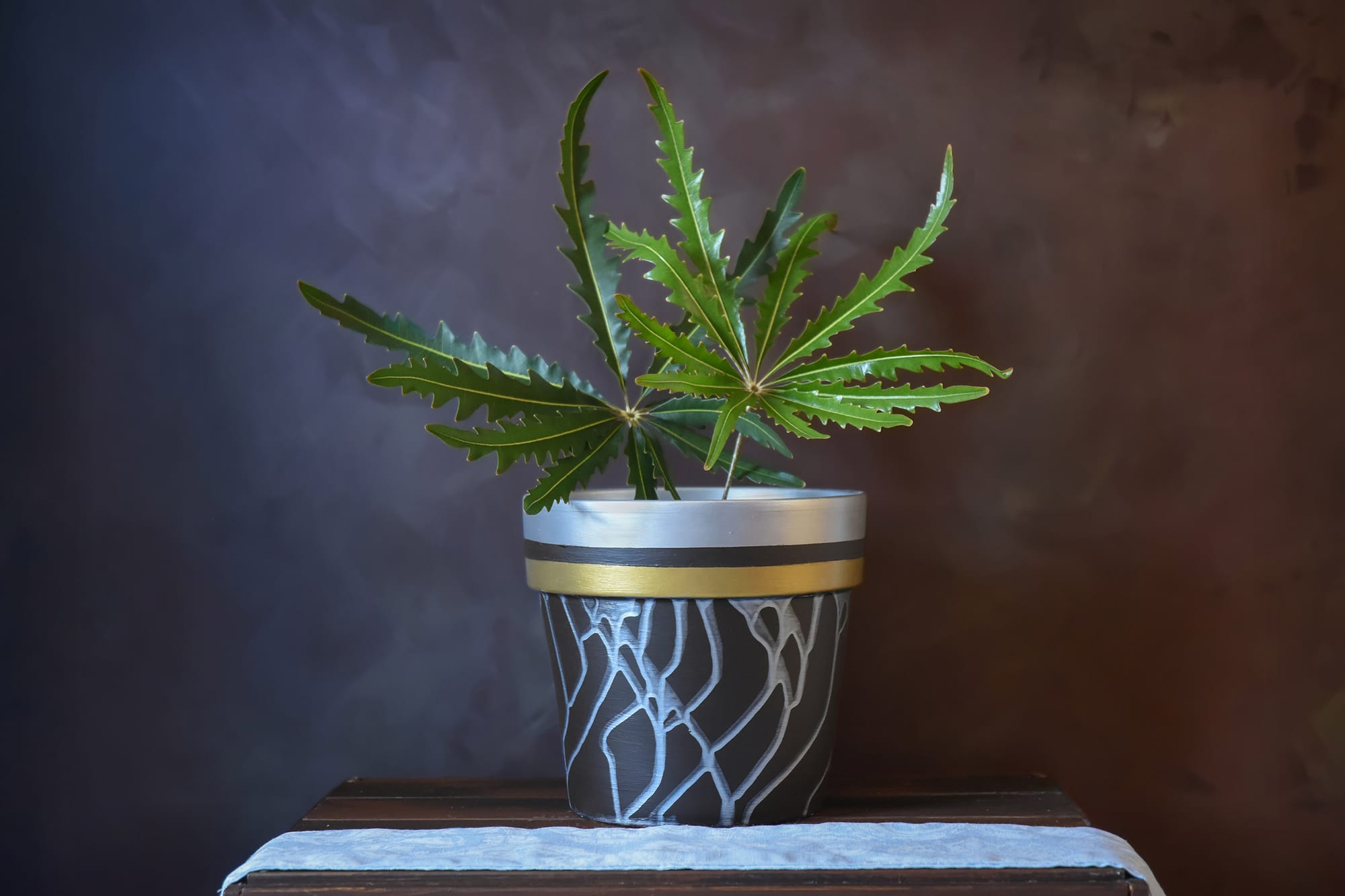 כד מטרקוטה.