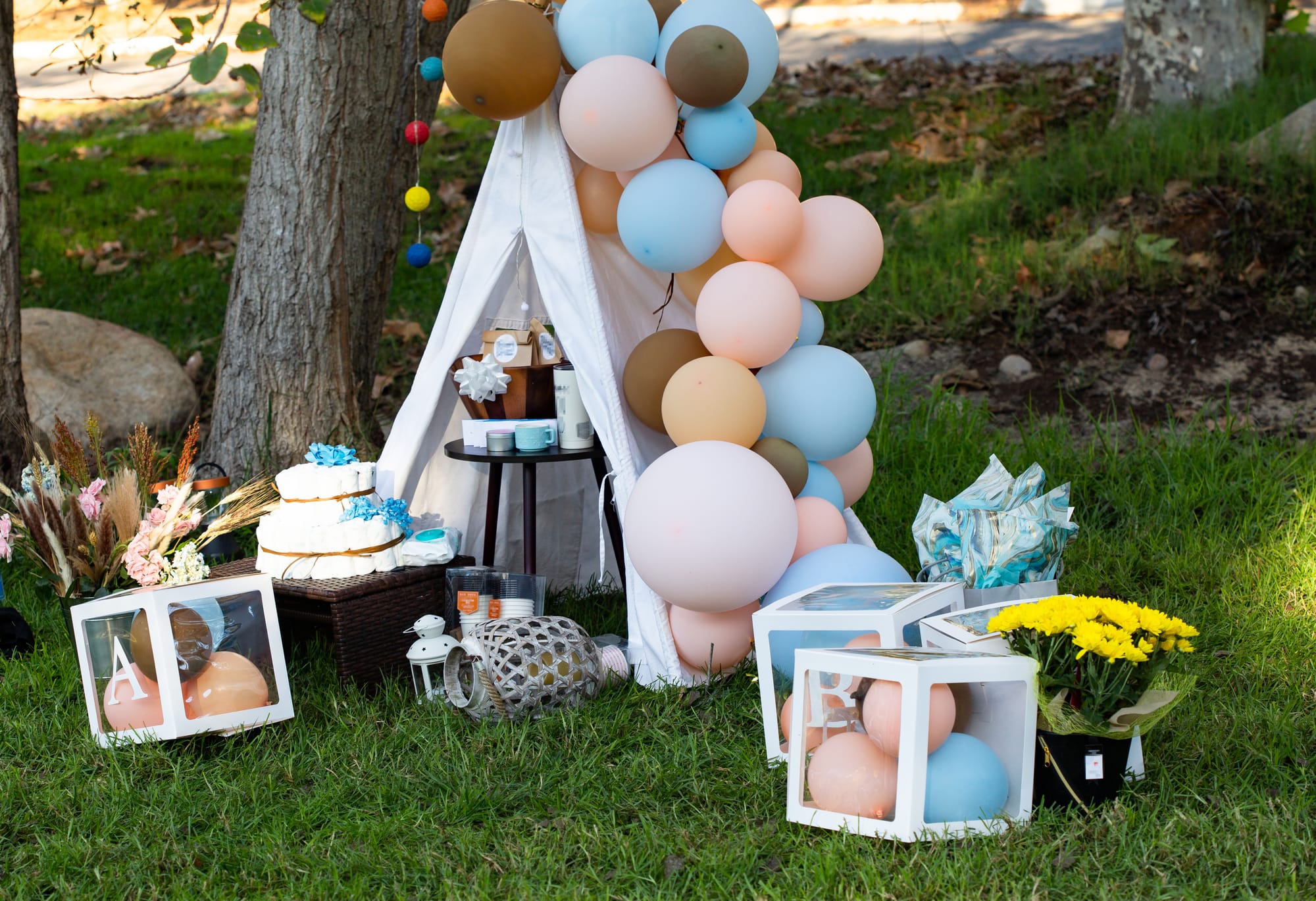 Baby shower party
