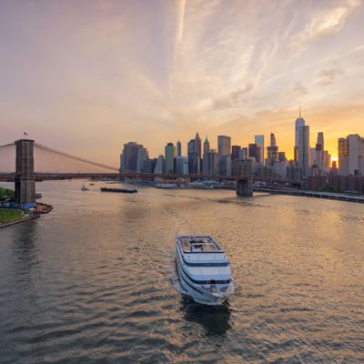 Reliable supply chains designed by Randy NG systems