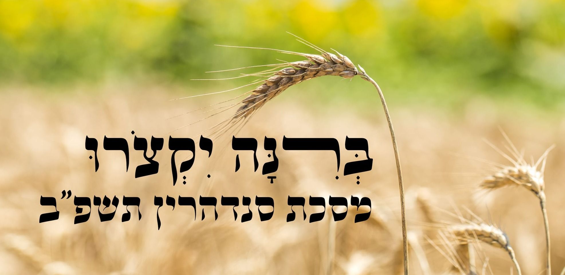 ברינה יקצרו סנהדרין תשפ"ב