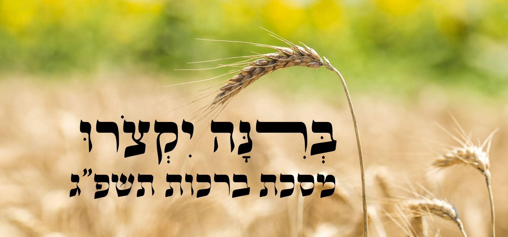 ברינה יקצרו ברכות תשפ"ג