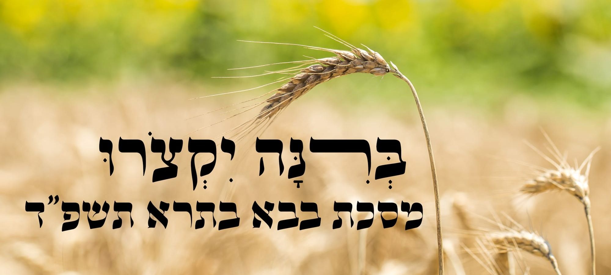 ברינה יקצרו בבא בתרא תשפ"ד