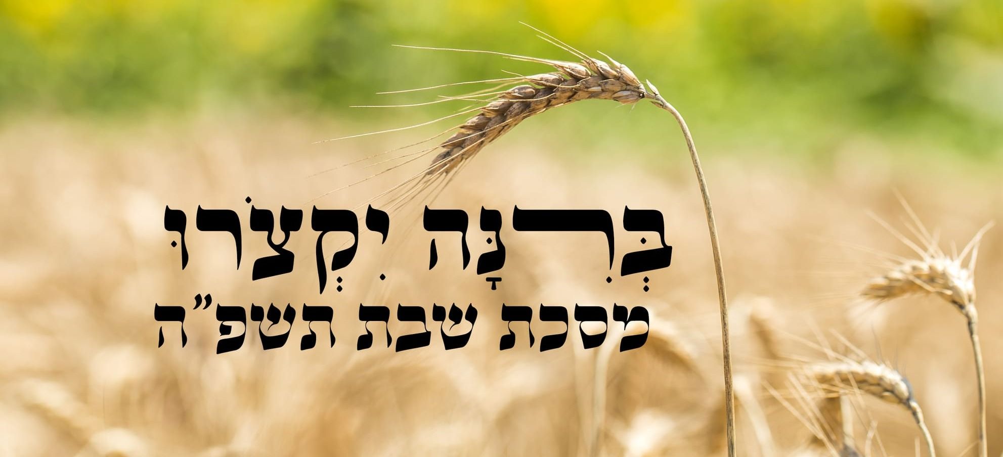 ברינה יקצרו שבת תשפ"ה