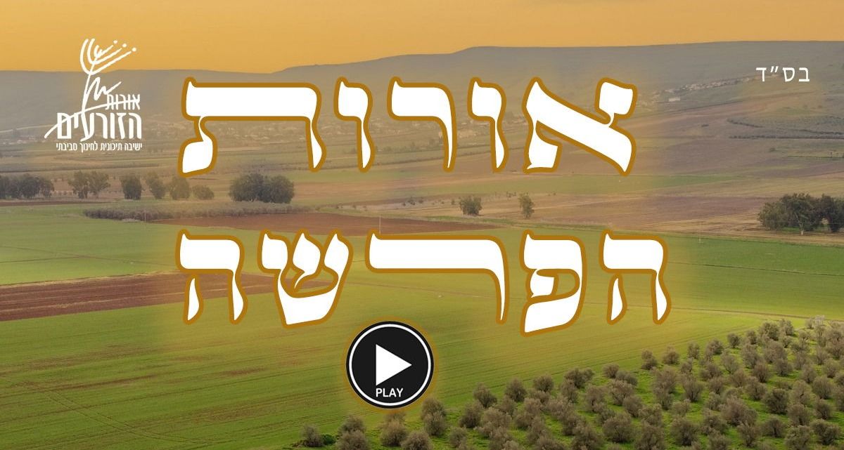 אורות הפרשה - פרשת שמות