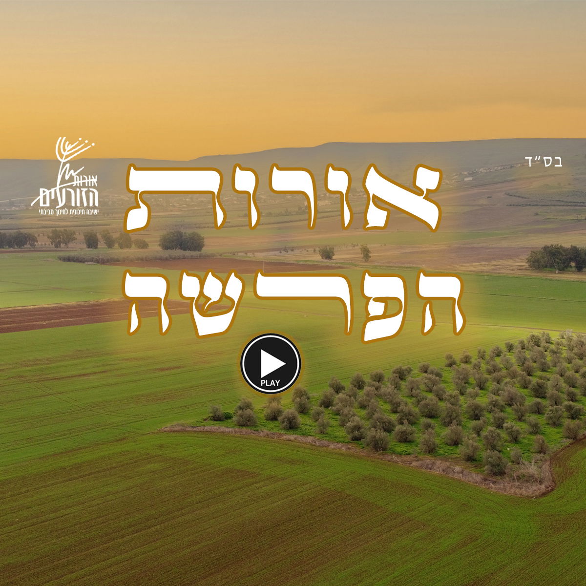 אורות הפרשה - פרשת משפטים