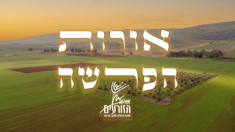 אורות הפרשה - ספר שמות