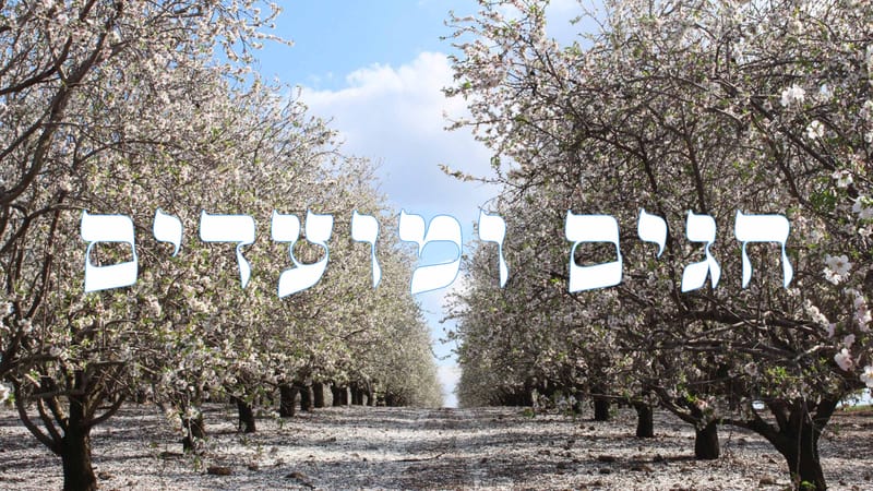 חגים ומועדים