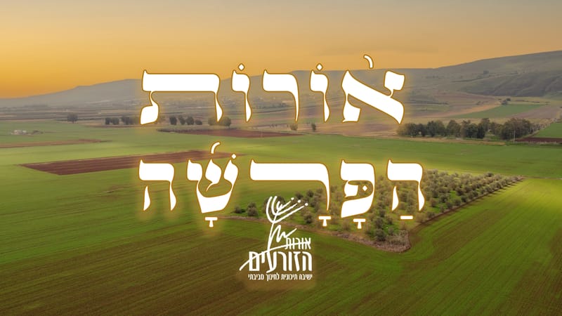 אורות הפרשה - ספר שמות