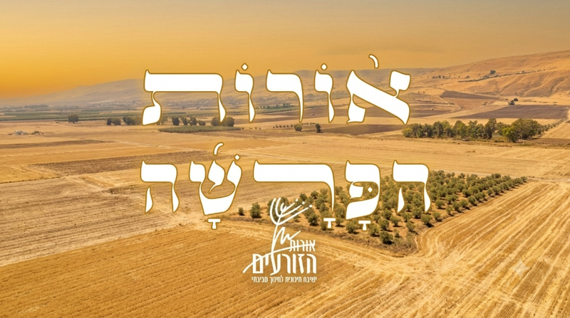 אורות הפרשה - ספר במדבר